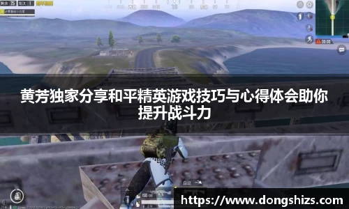 黄芳独家分享和平精英游戏技巧与心得体会助你提升战斗力