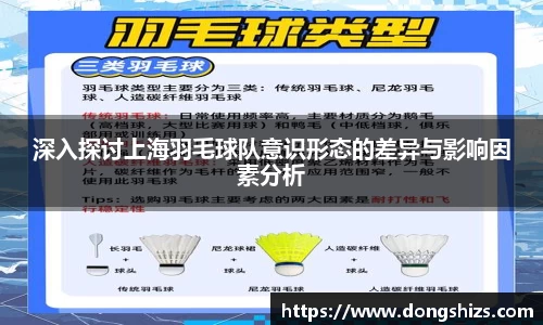 深入探讨上海羽毛球队意识形态的差异与影响因素分析