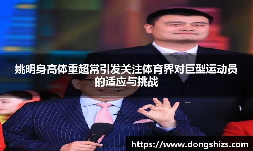 yy易游