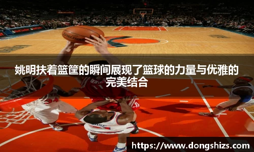 yy易游