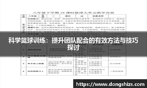 yy体育